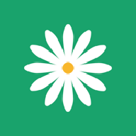 黄金网9.1APPAPP应用