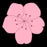 WWW,av477·COM网站APPAPP应用